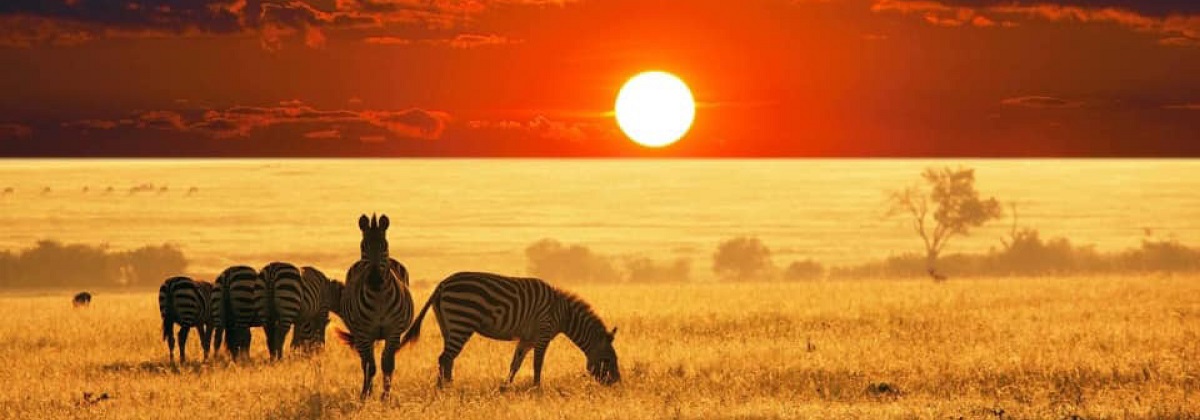 Oreteti Safari Africa – Dedicated to Culture, Community and the Environment