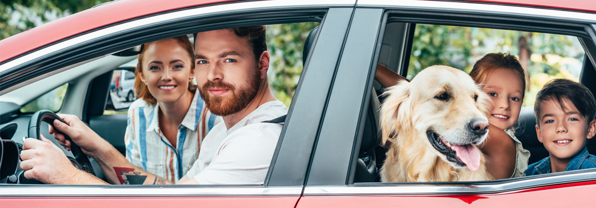 It’s not a family vacation without the family pet. And there’s no need to leave your four-legged friends behind—at Red Roof, pets stay free!