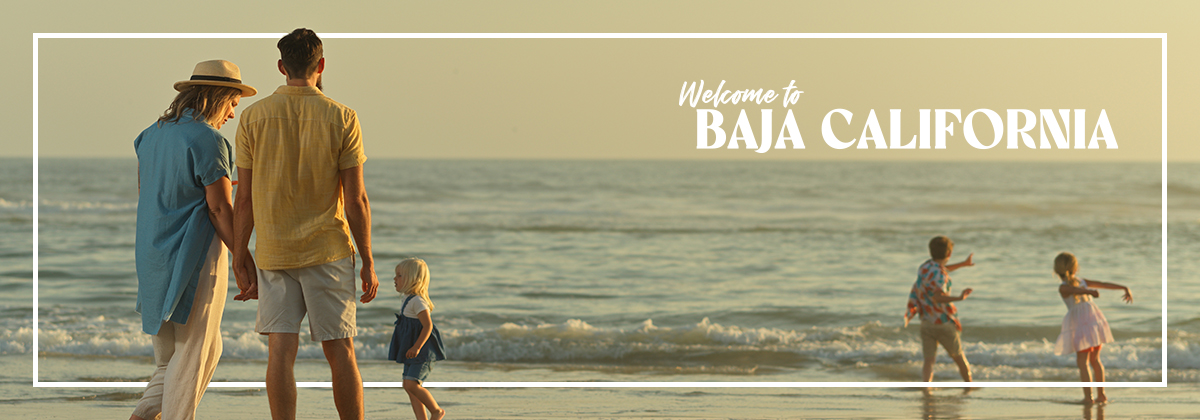 Welcome to Baja California: a treasure trove of experiences