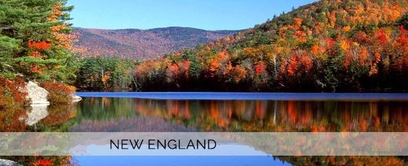 new_england Lehigh Valley