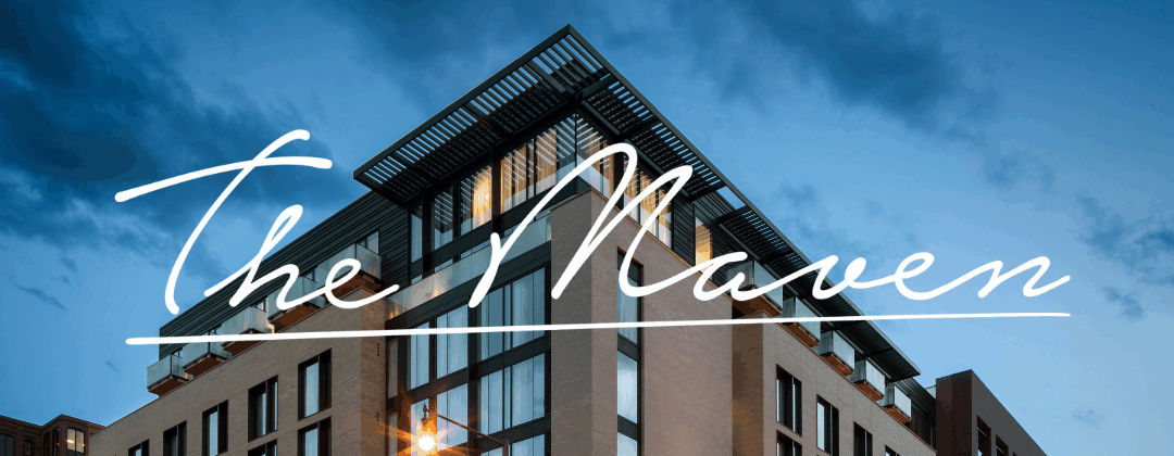 Discover the Boldest Downtown Denver Hotel – Your Travel Destination Found