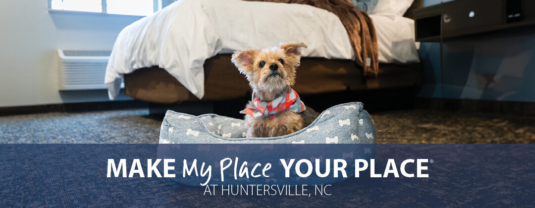 Settle into convenience and genuine hospitality at My Place Hotel-Huntersville, NC
